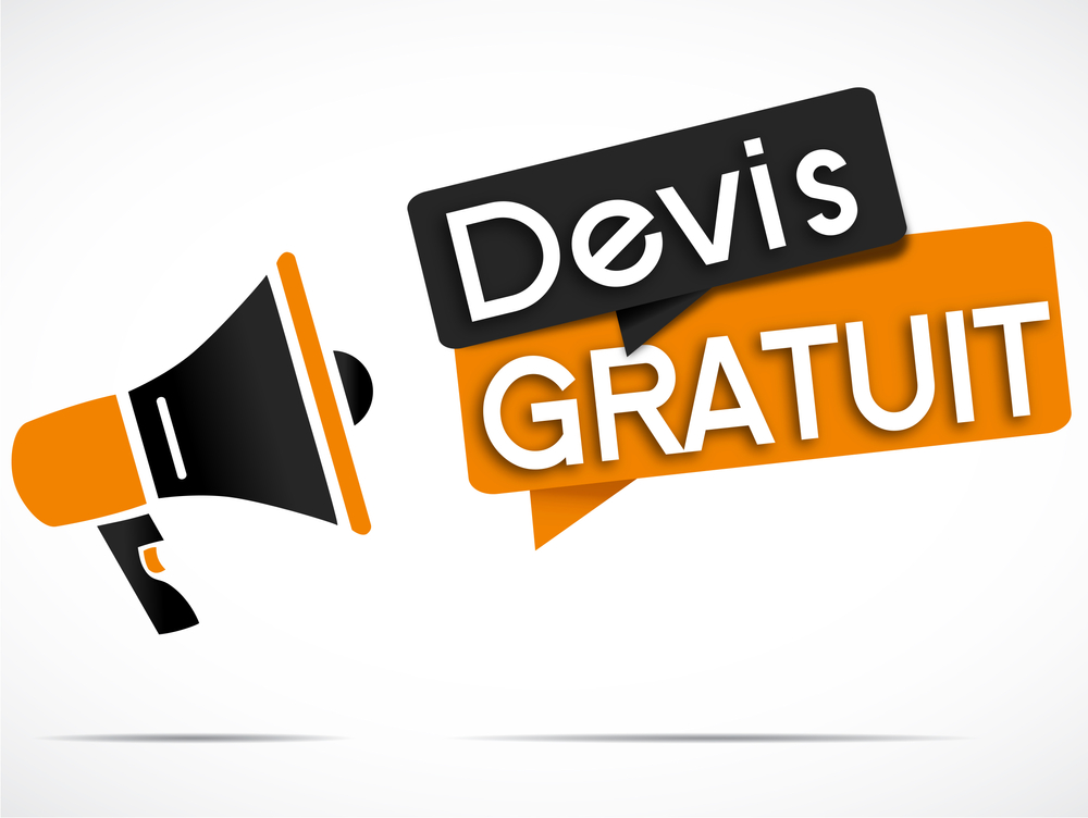devis de déménagement en ligne gratuit par Mouv and Log déménageur à Toulouse Bordeaux Grenoble et Paris